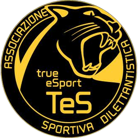 Logo Team Extreme Supremacy