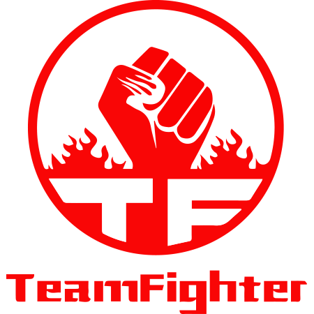 Logo de Team Fighter
