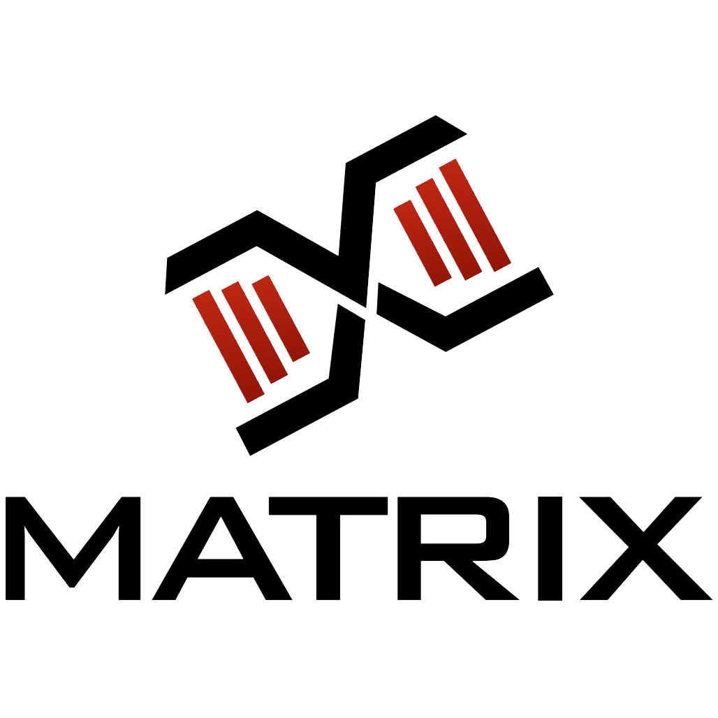 Logo de Team Matrix