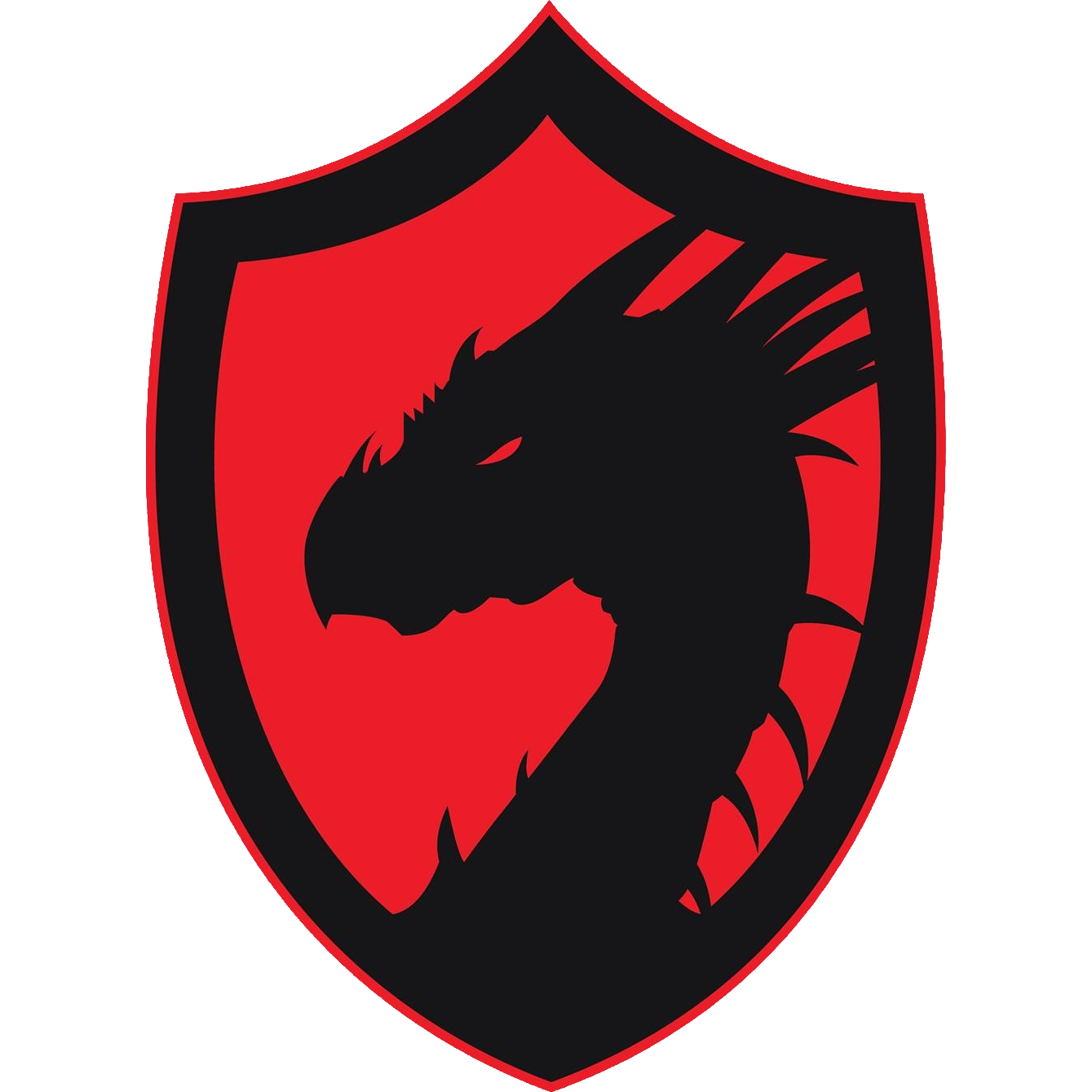 Logo Team Occupy