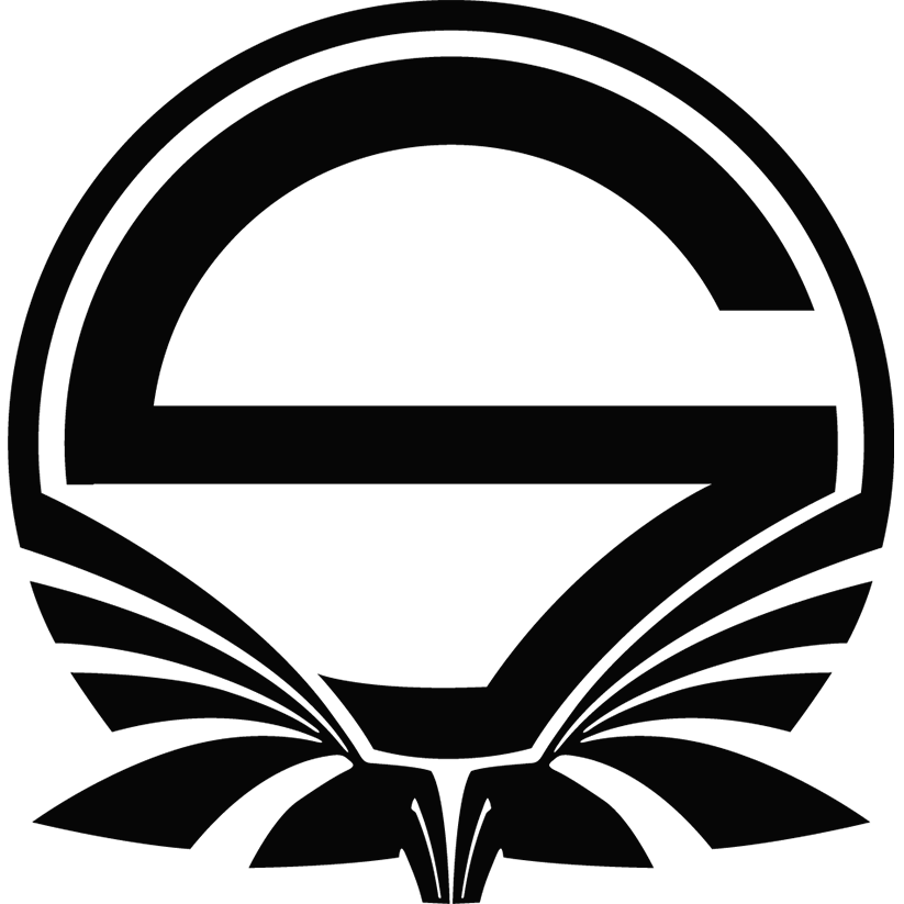 Logo Team Singularity