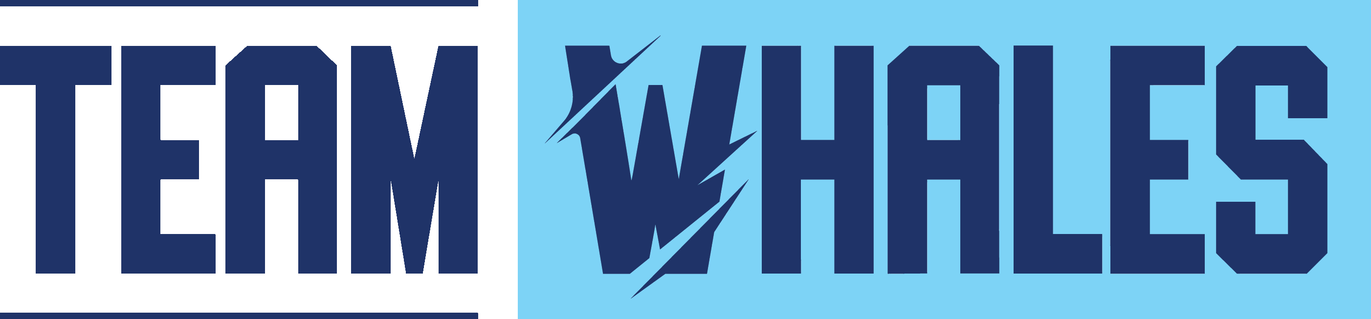 Logo Team Whales