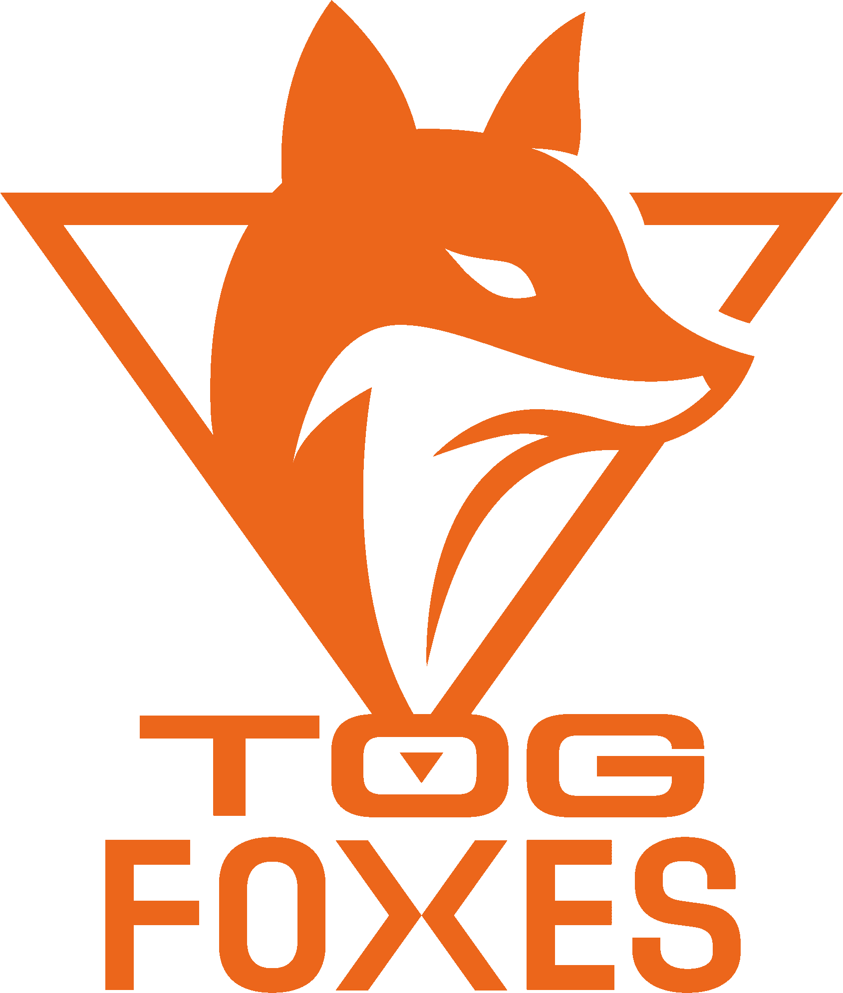 TeamOrangeGaming