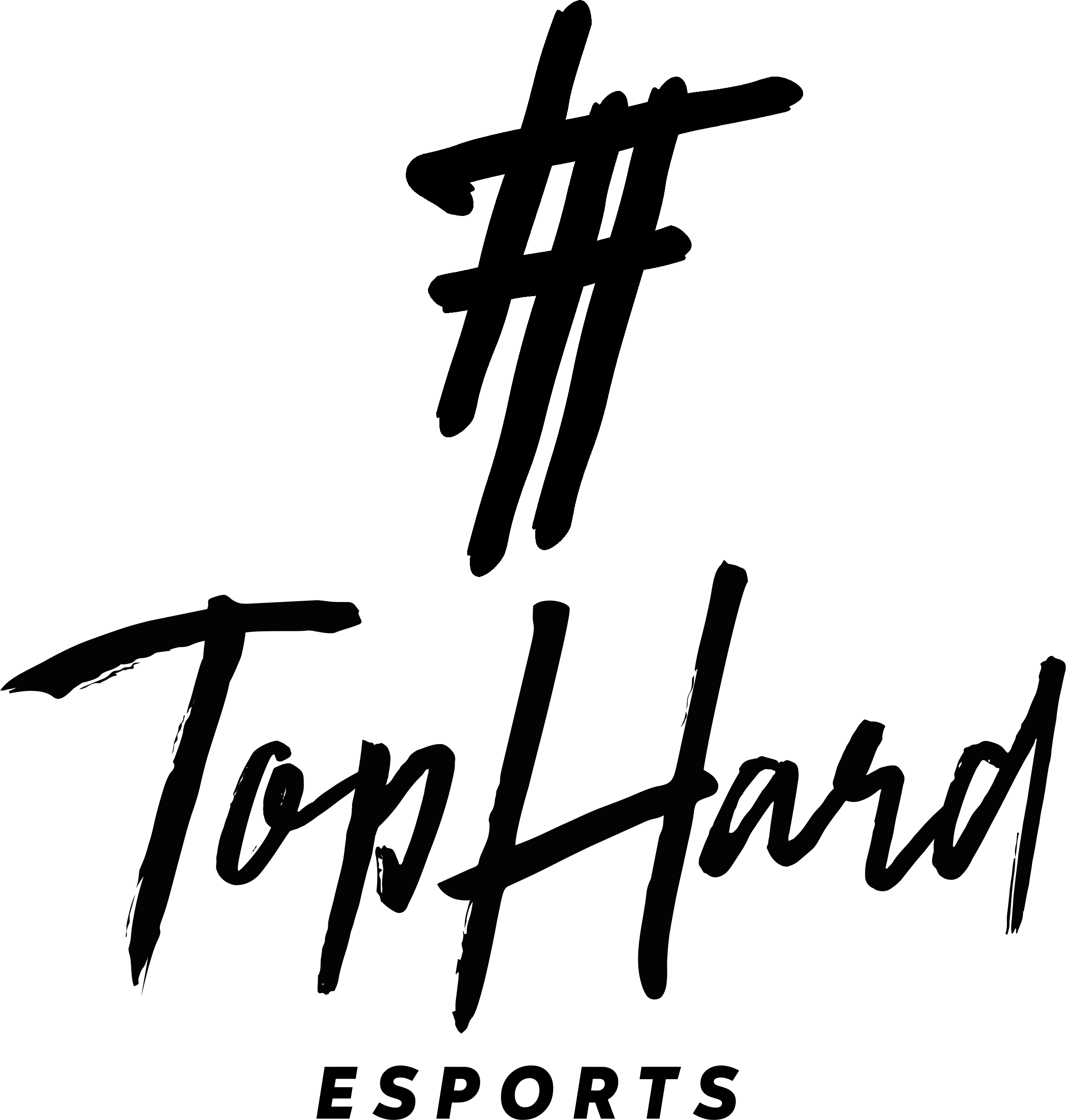 Logo TopHard Esports