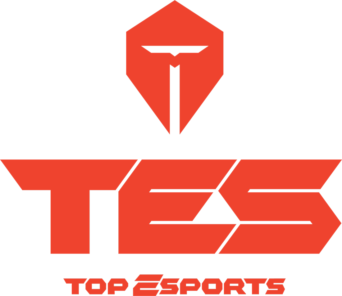 Logo Topsports Gaming