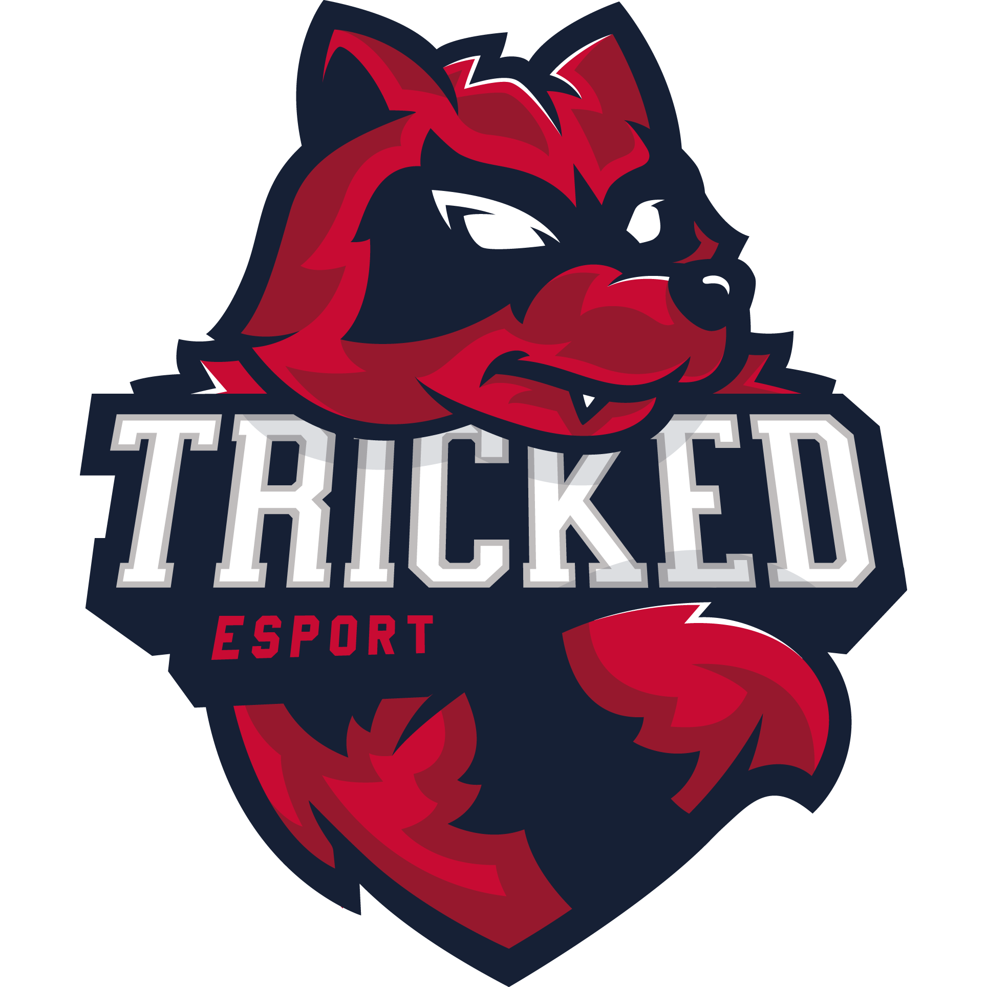 Logo Tricked Esport