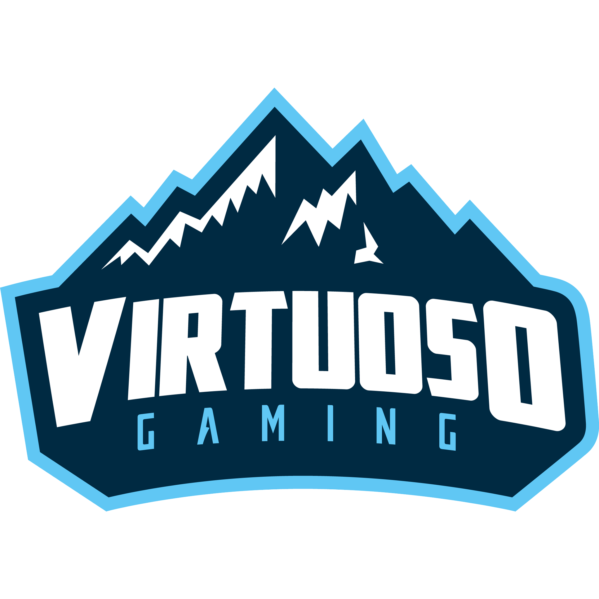 Logo de Virtuoso Gaming