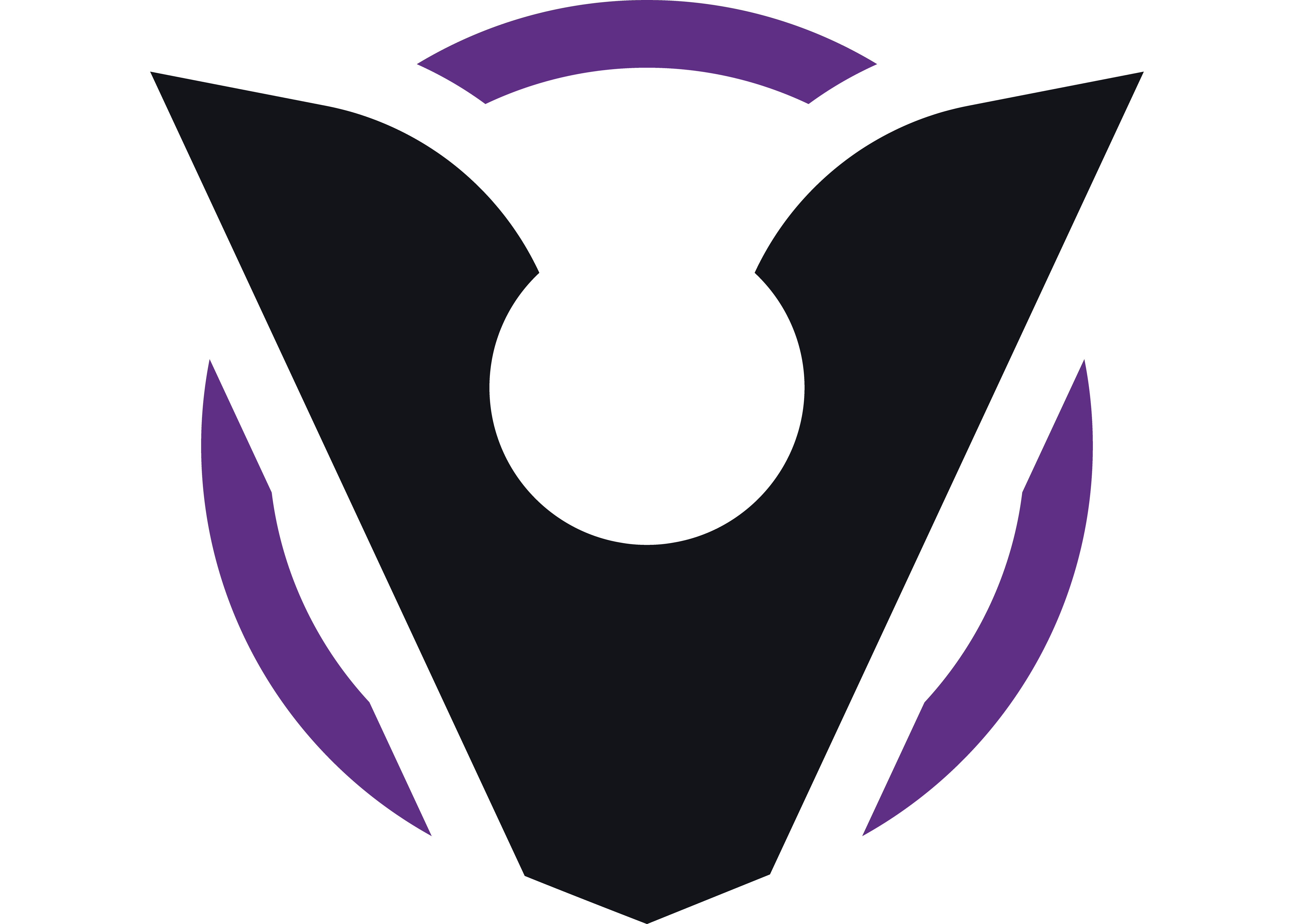 Logo Void Purple