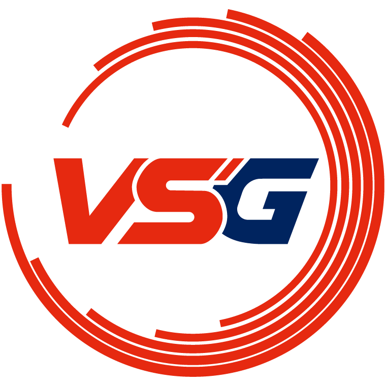 Logo VSG (Korean Team)