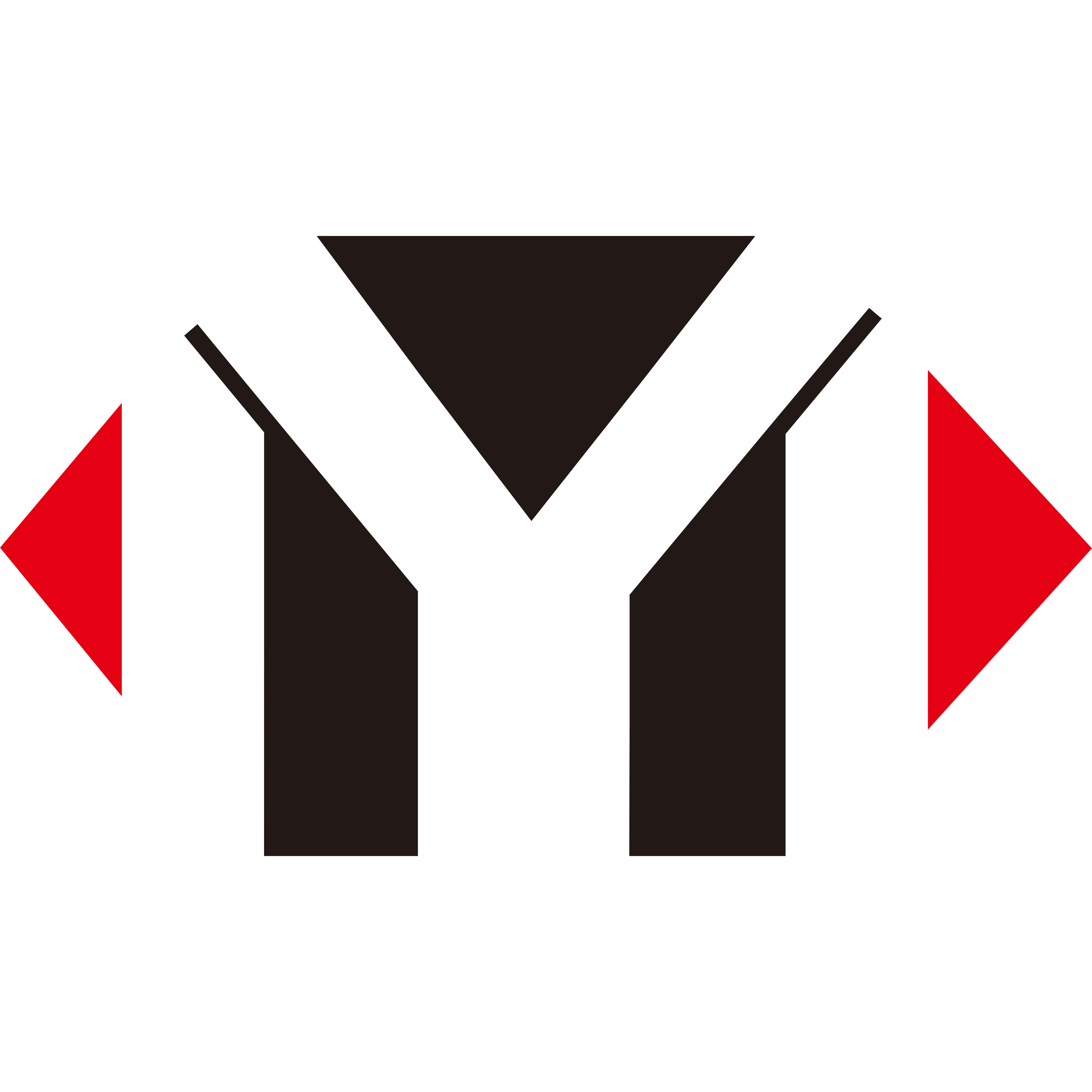 Logo Young Miracles