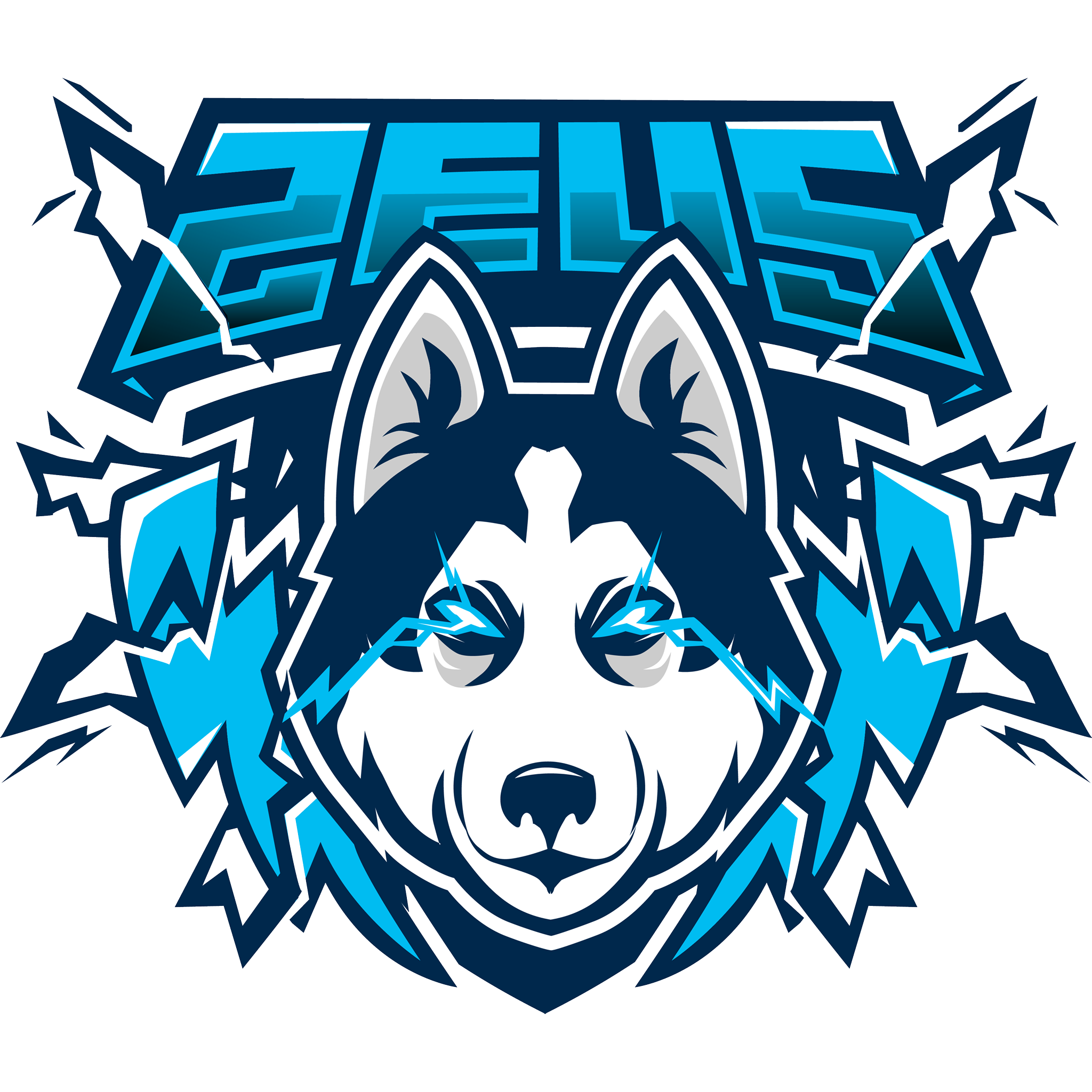 Logo de Zeu5 Gaming